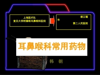 耳鼻喉科常用药