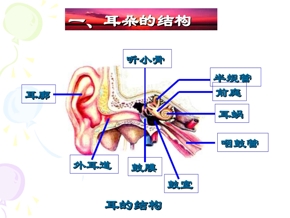 耳的结构和听觉的形成_第3页