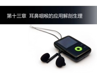 耳的解剖和生理幻灯片课件