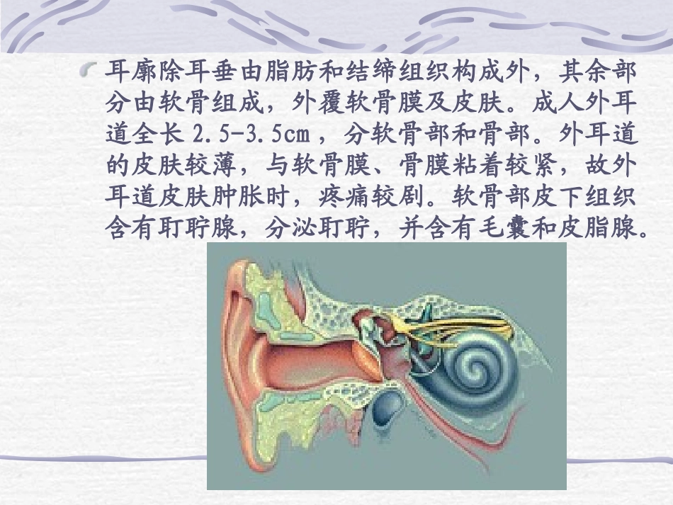 耳的解剖课件_第3页