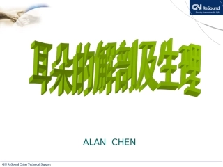 耳朵的解剖和生理汇总