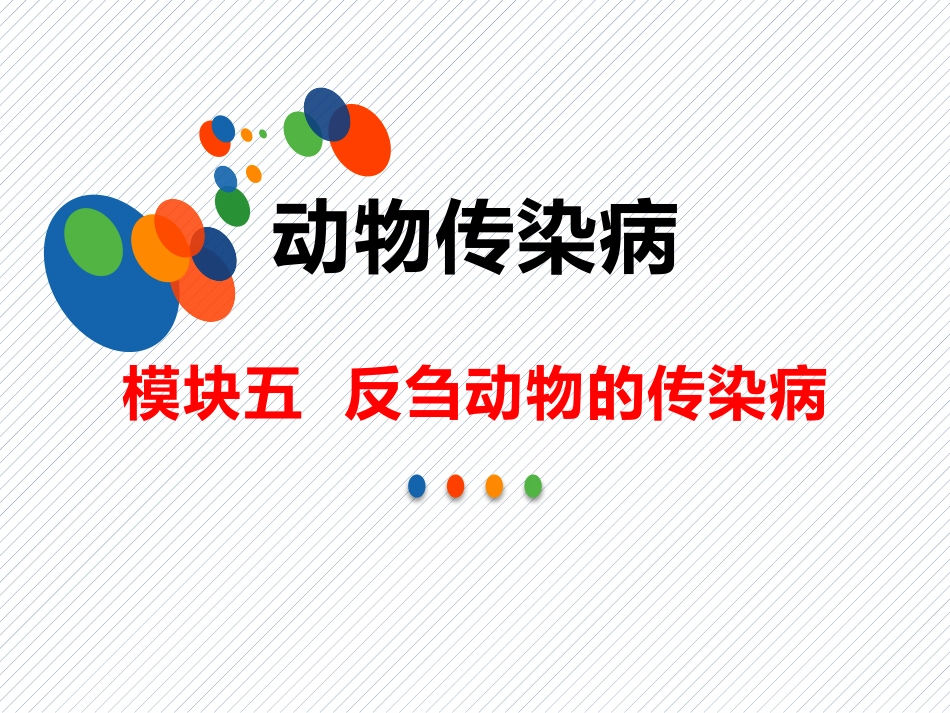 反刍动物的传染病牛副结核_第1页