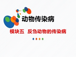 反刍动物的传染病牛副结核