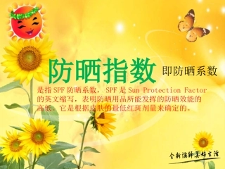 防晒指数讲诉