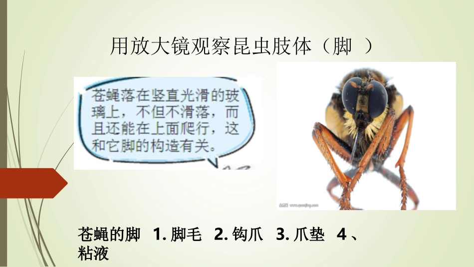 放大镜下的晶体_第3页