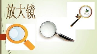 放大镜下的晶体