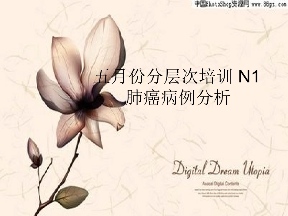 肺癌病例分析_第1页