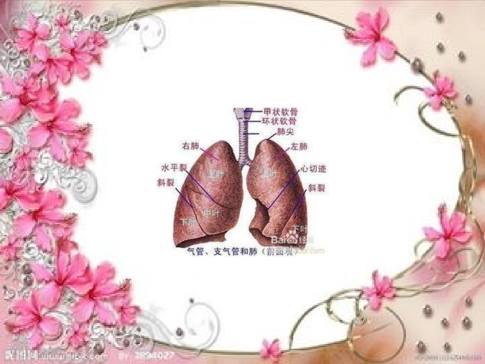 肺癌病例分析_第3页