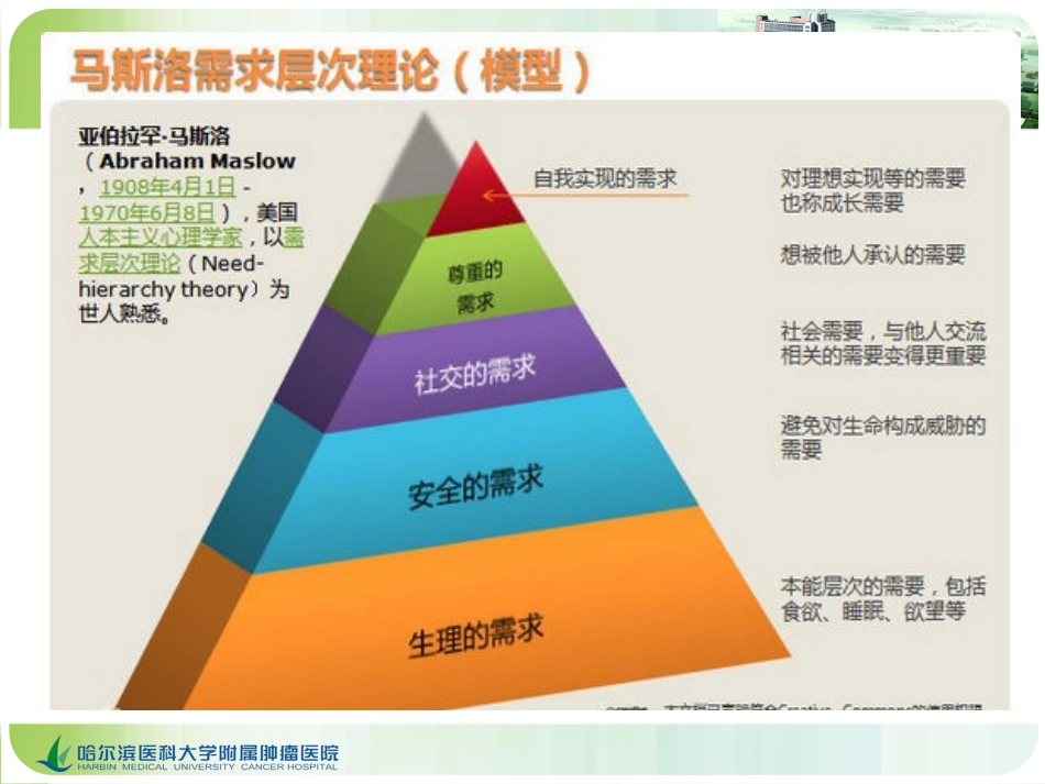 肺癌的CT影像诊疗_第3页