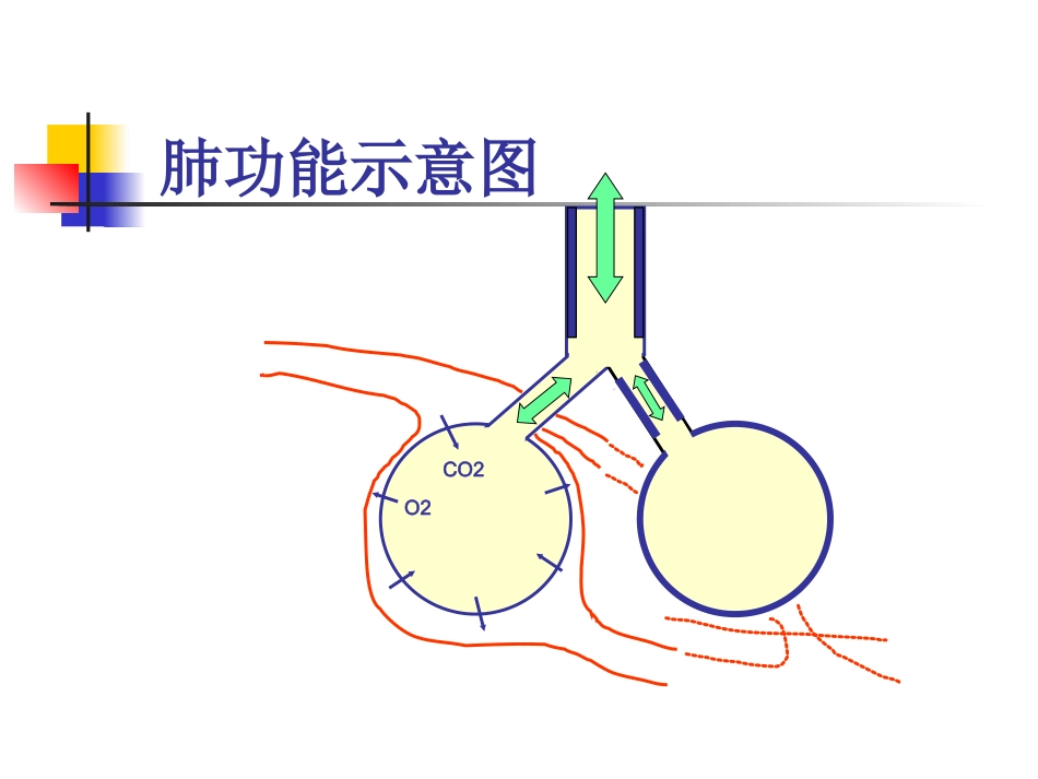 肺功能支气管激发试验_第2页
