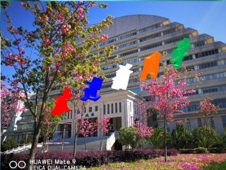 肺结核防控知识