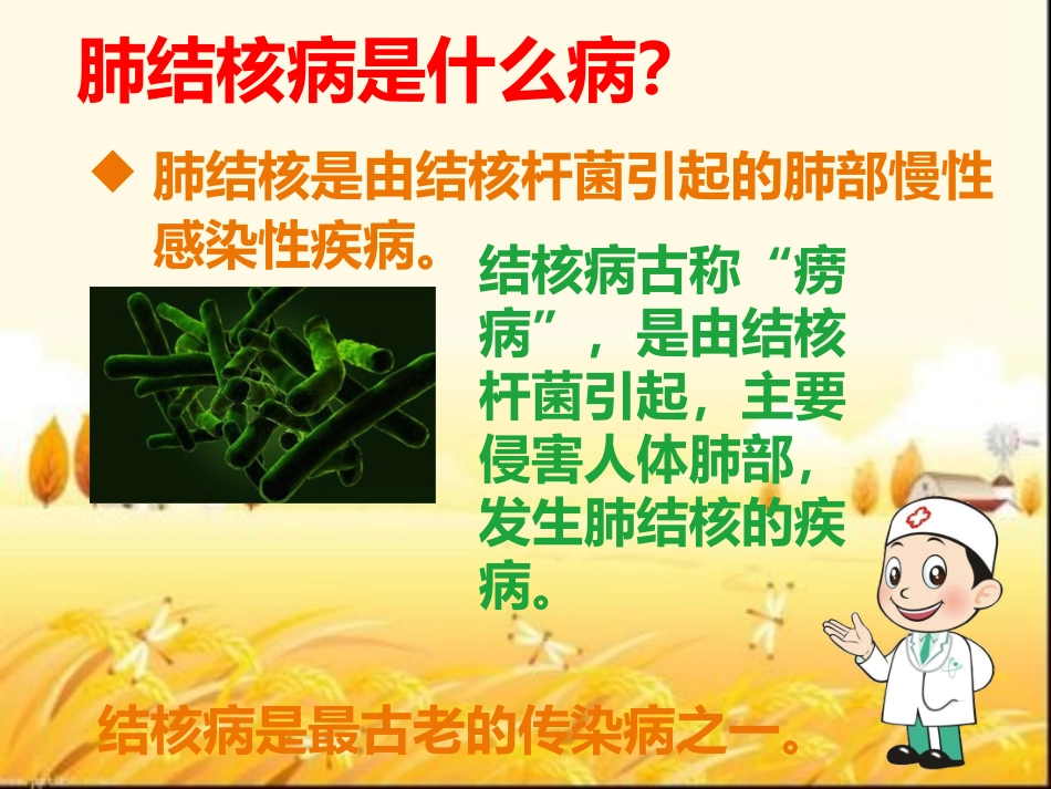 肺结核防治知识讲座_第3页