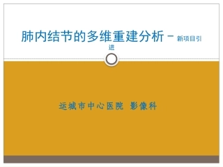 肺内结节的多维重建分析新项目
