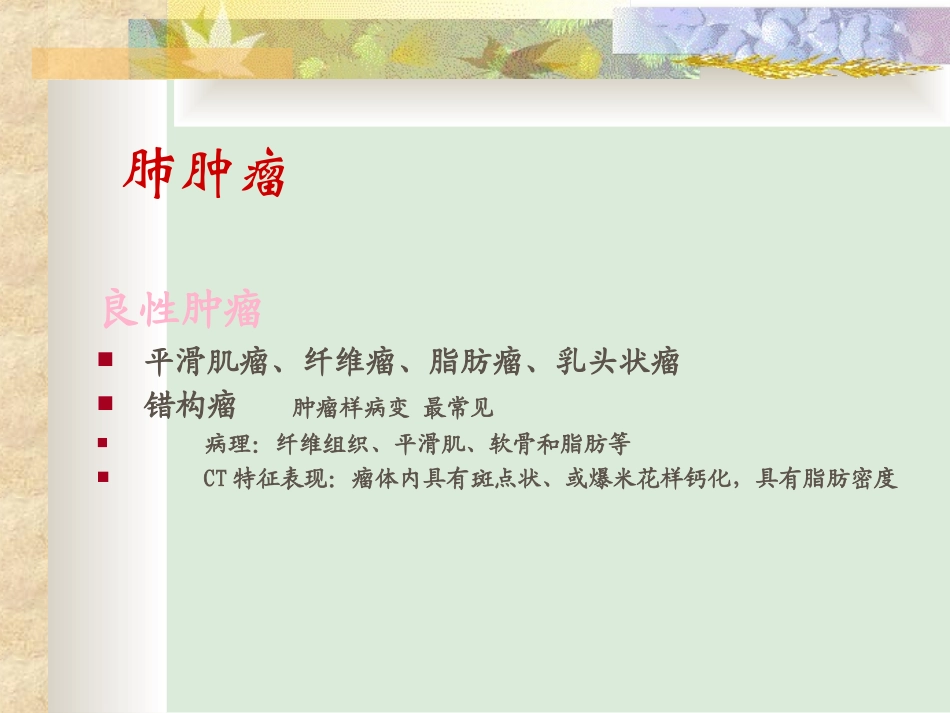 肺肿瘤影像诊疗_第2页