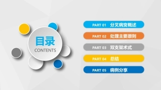 分叉病变处置