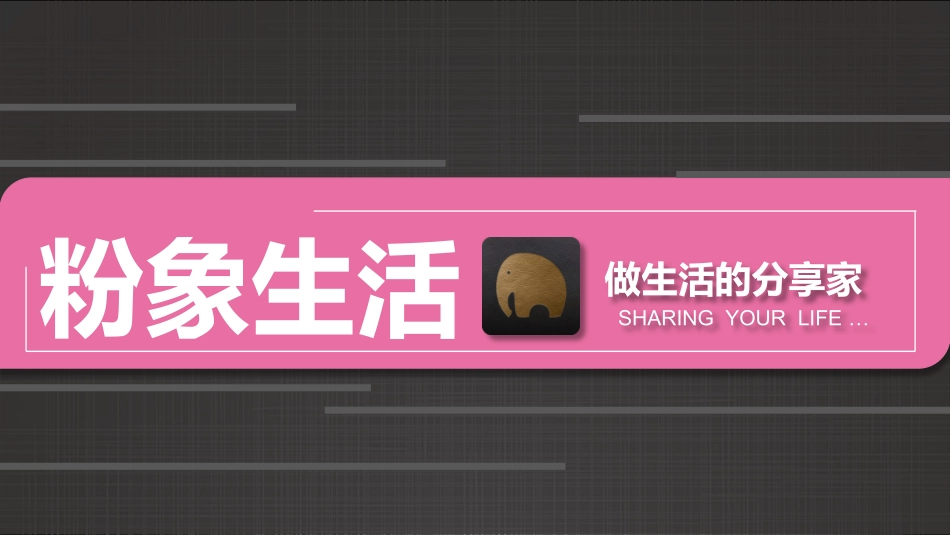 粉象生活APP项目介绍课件_第1页