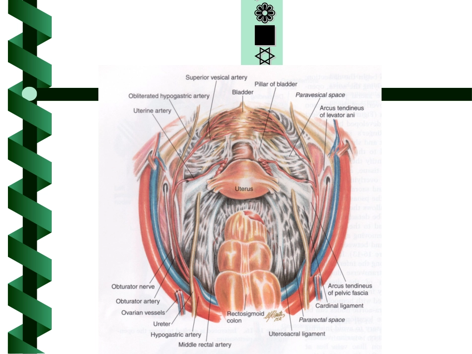 妇科手术泌尿系损伤_第3页