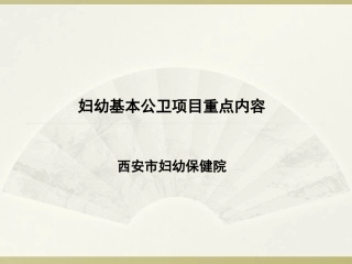 妇幼基本项目重点内容