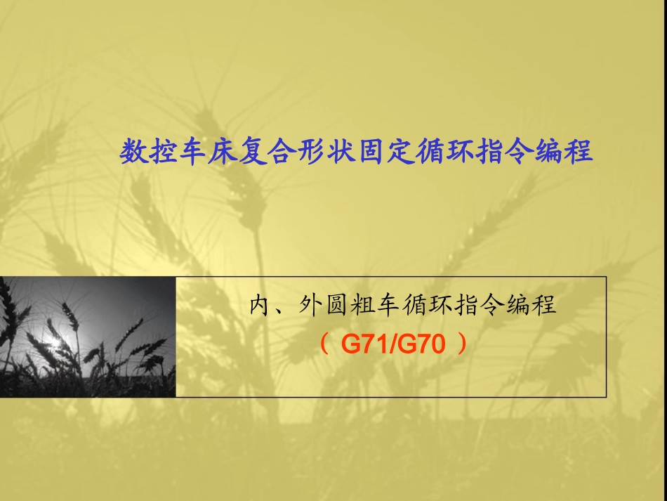 复合固定循环指令G71新方案_第1页