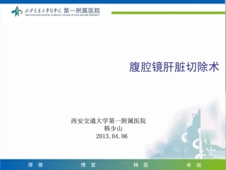 腹腔镜肝脏切除术