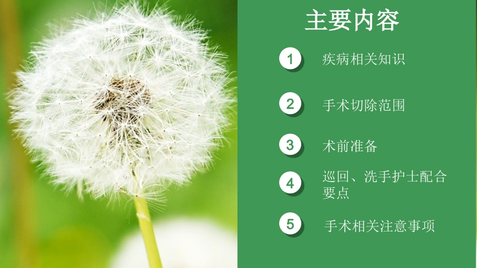 腹腔镜下广泛全子宫切除加盆腔淋巴结清扫术课件_第2页