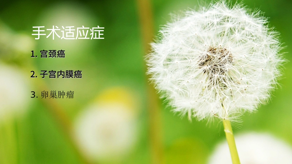 腹腔镜下广泛全子宫切除加盆腔淋巴结清扫术课件_第3页