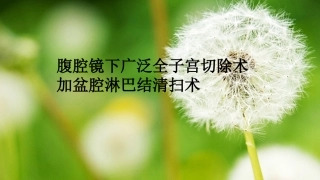 腹腔镜下广泛全子宫切除加盆腔淋巴结清扫术课件