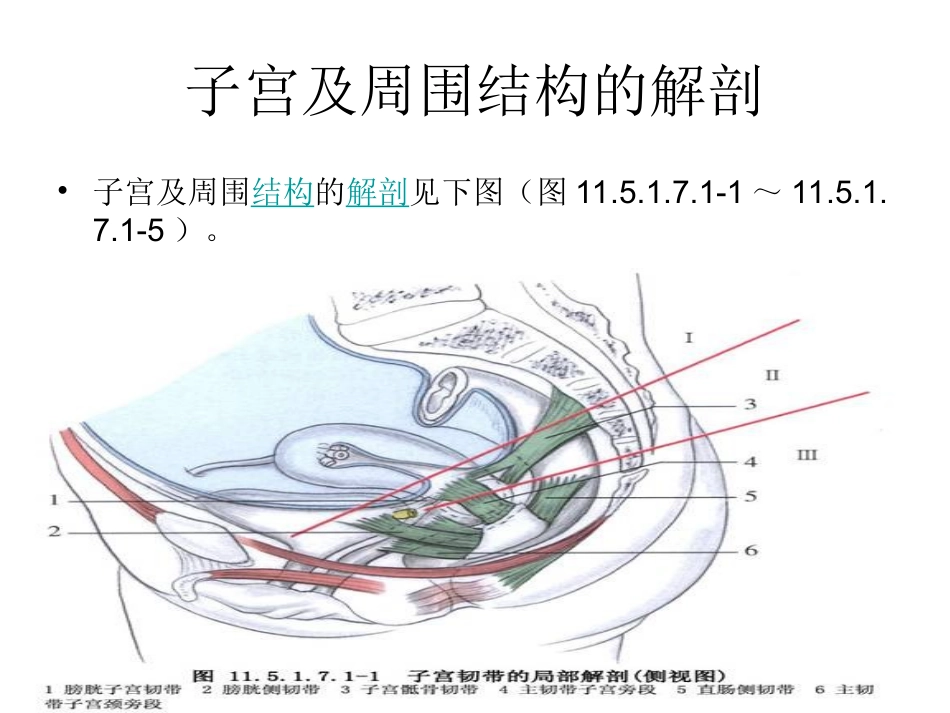 腹腔镜下全子宫切除术_第3页