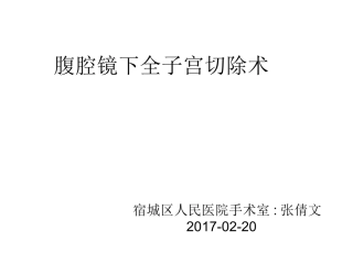 腹腔镜下全子宫切除术