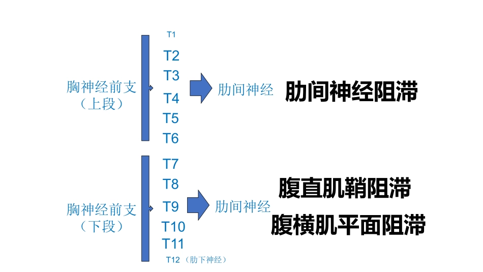 腹直肌鞘腹横筋膜阻滞_第3页