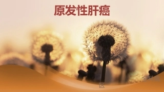 肝癌护理查房幻灯片