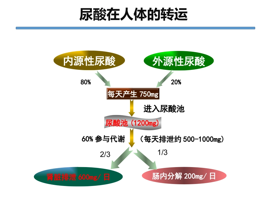 高尿酸血症和肾脏_第3页