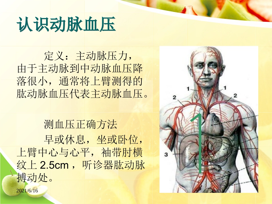 高血压的防治_第3页