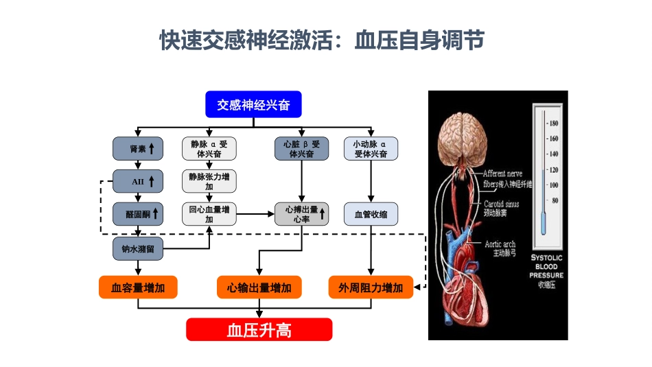 高血压的危害_第3页