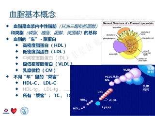 高脂血症管理和合理用药