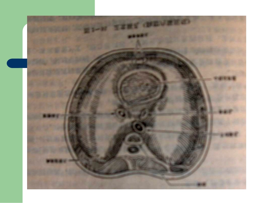 膈肌病变影像学诊疗_第3页