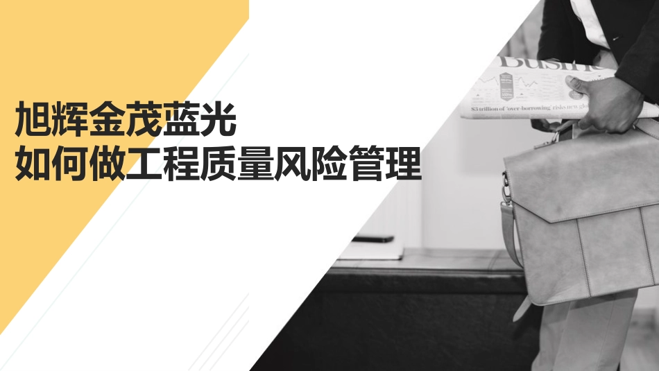 工程质量风险管理手册_第1页