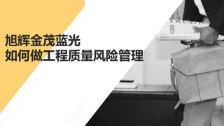 工程质量风险管理手册