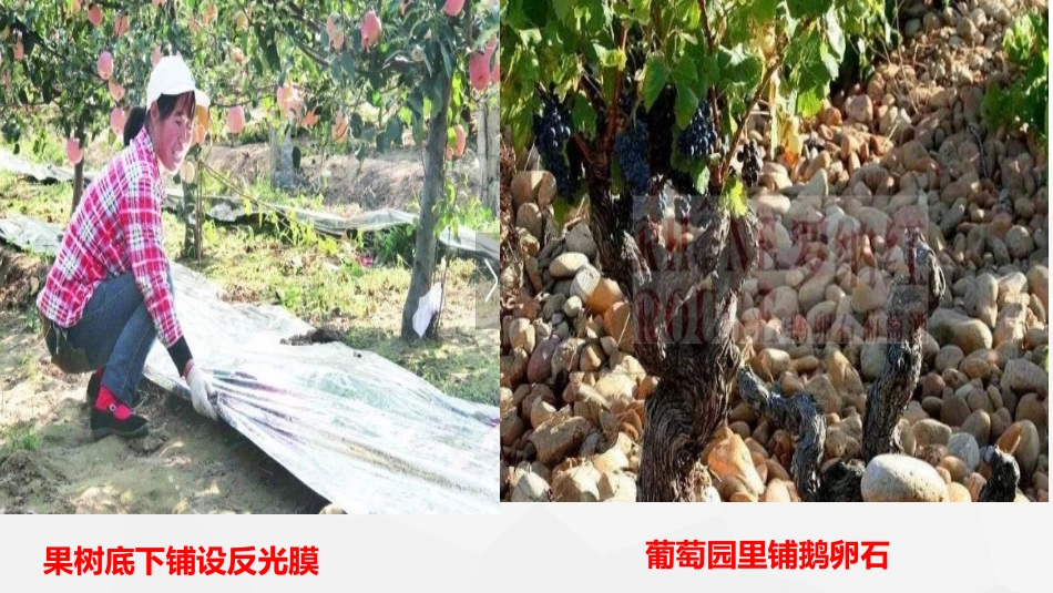 公开课覆盖技术_第2页