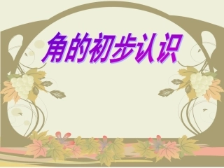 公开课角的初步认识