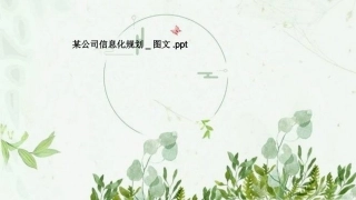 公司信息化规划图文