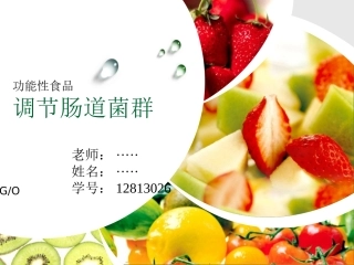 功能性食品肠道菌群完整版