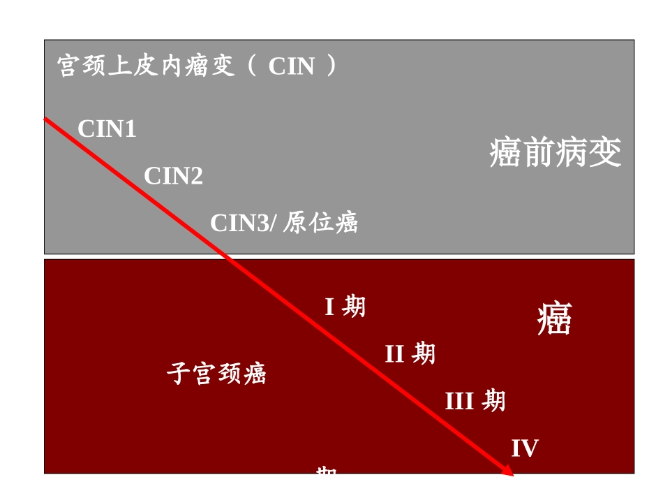 宫颈癌前病变的处置_第2页
