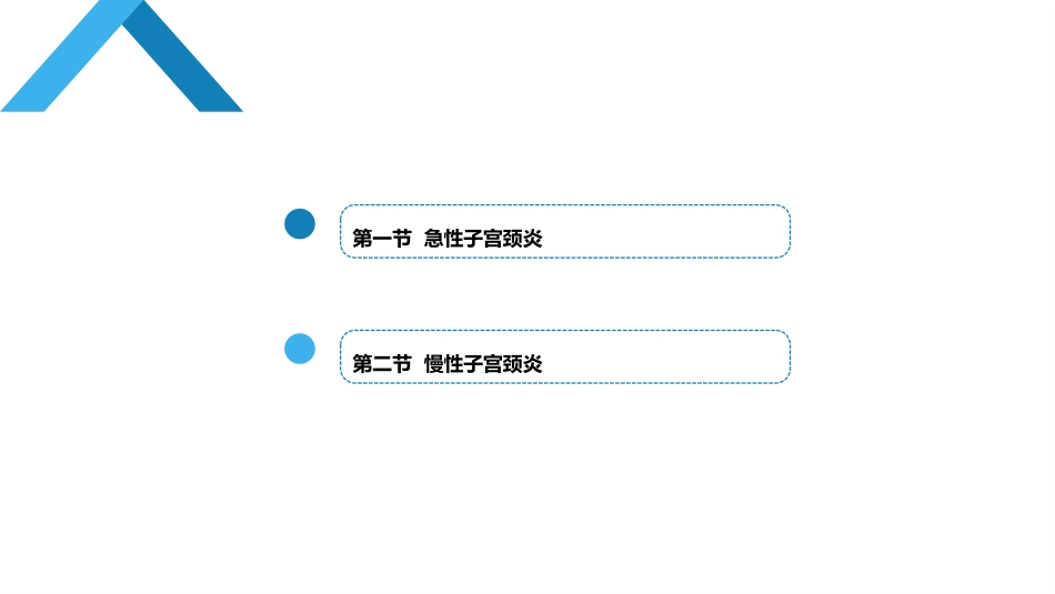 宫颈炎症诊疗方案_第2页