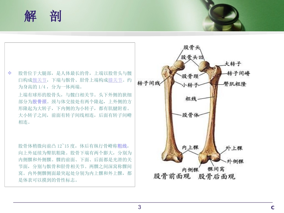 股骨髓内钉内固定术幻灯片课件_第3页