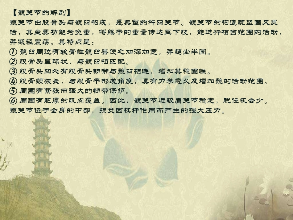 股骨头坏死的针刀治疗精品医学课件_第2页