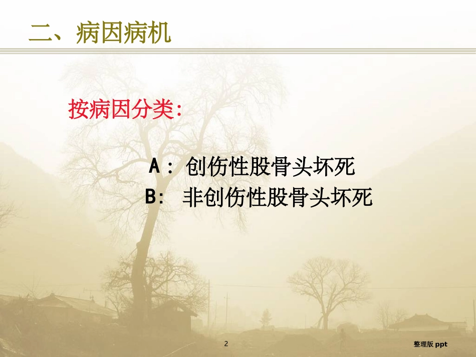 股骨头坏死定义_第2页