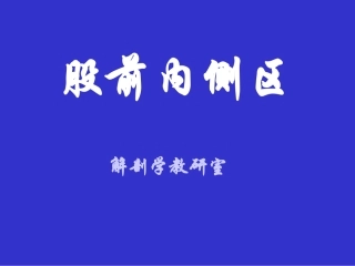 股前内侧区解剖