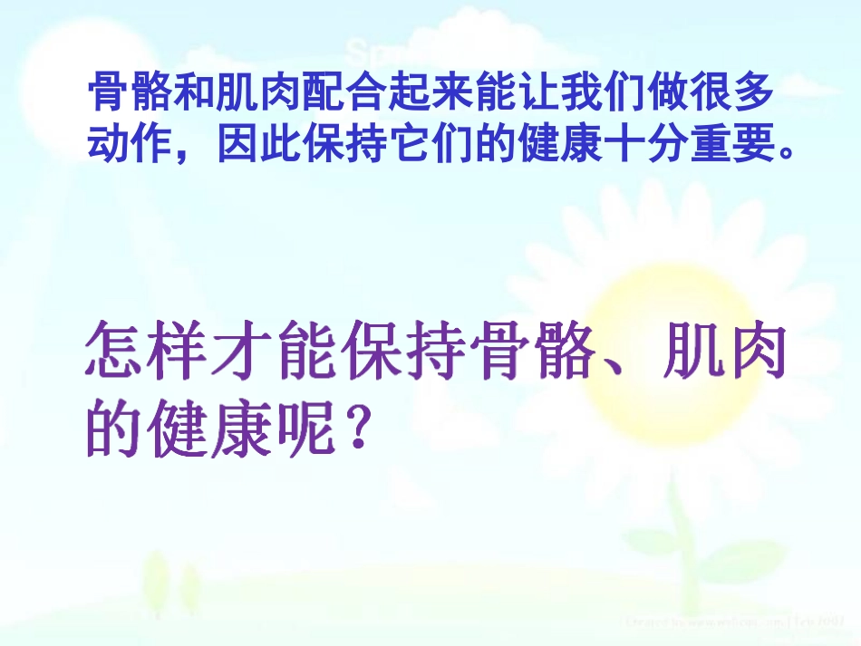 骨骼肌肉的保健_第2页