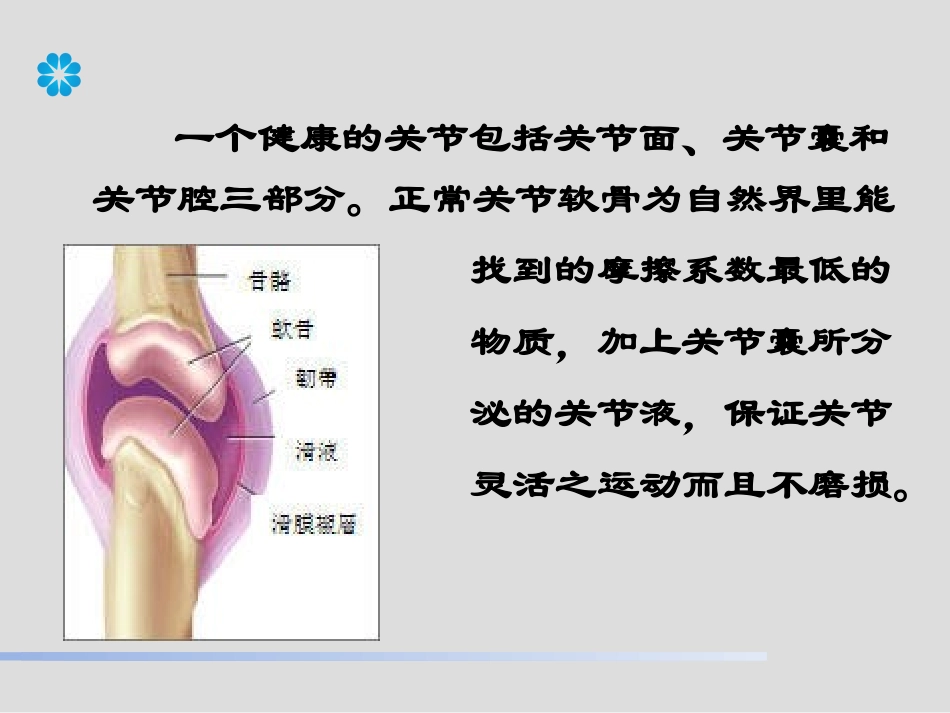骨关节疾病研究_第3页